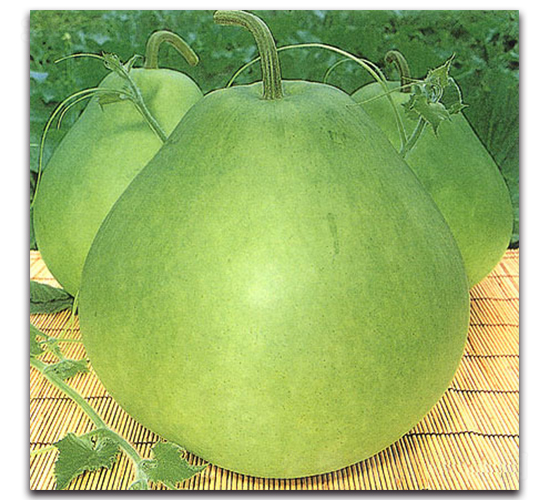 ��Ұ��-���J�N��-�r(n��ng)����