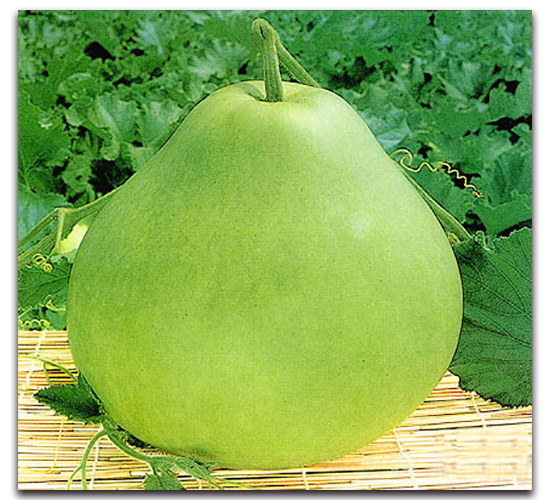 ��ľ��-���J�N��-�r(n��ng)����