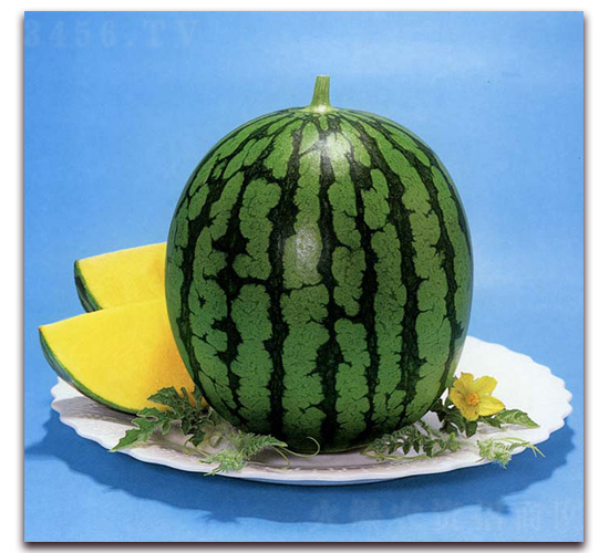 ���S-���ϷN��-�r(n��ng)����