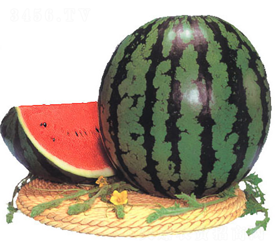 ����-���ϷN��-�r����