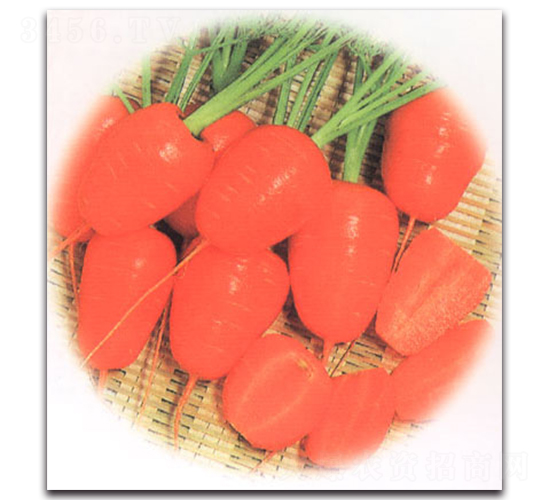 �����˅�-���}���N��-�r����