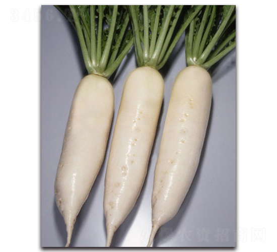 ����һ̖-�}���N��-�r(n��ng)����