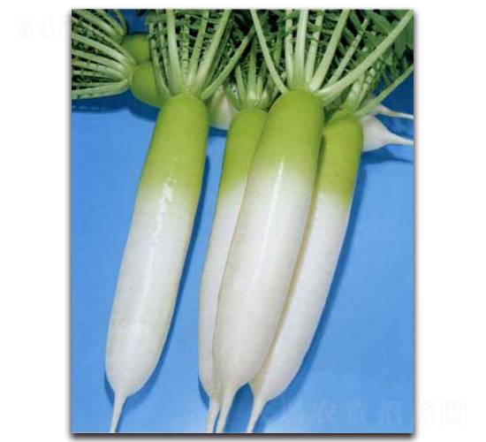 �涬�S�M-�}���N��-�r(n��ng)����