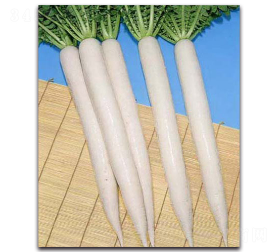 ��������-�}���N��-�r(n��ng)����