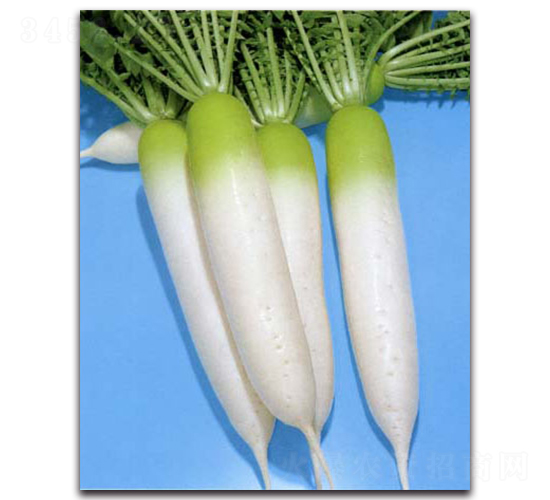 ��������-�}���N��-�r(n��ng)����