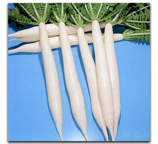 �ɝn����-�}���N��-�r(n��ng)����