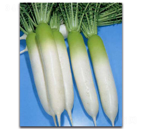 �������S�M(j��n)-�}���N��-�r(n��ng)����