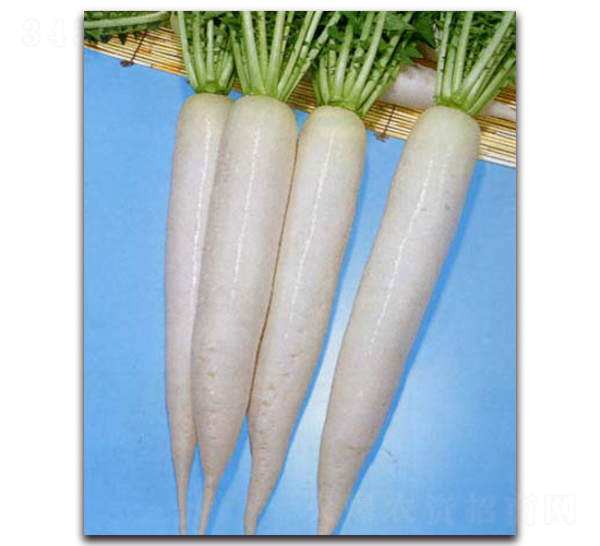 ����-�}���N��-�r(n��ng)����