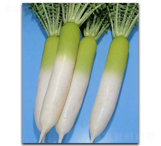 �ɹ��S�M-�}���N��-�r(n��ng)����