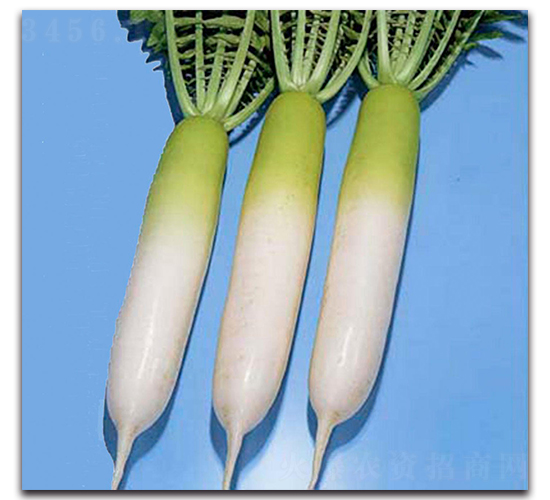 ����-�}���N��-�r����