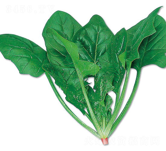 �{(l��n)��ʯ-���˷N��-�r(n��ng)����