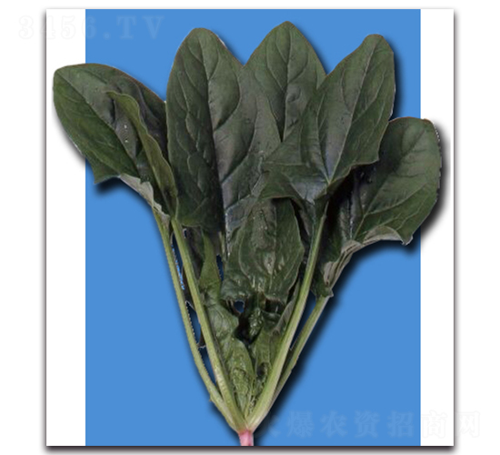 ����-���˷N��-�r(n��ng)����