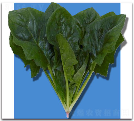 ���O��-���˷N��-�r(n��ng)����