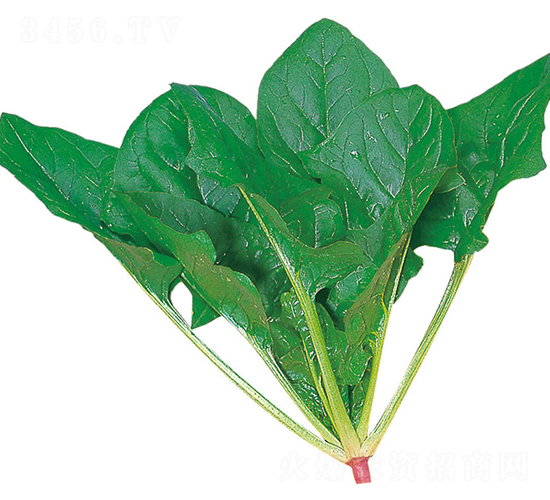 ���O-���˷N��-�r(n��ng)����