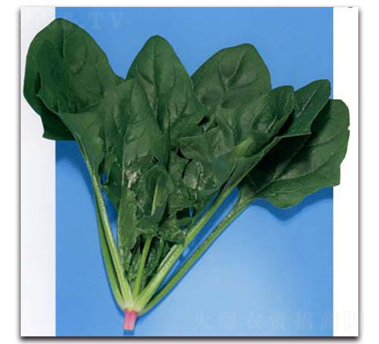 �|��-���˷N��-�r(n��ng)����