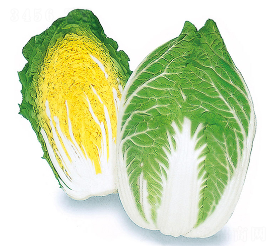 ���\-��ײ˷N��-�r(n��ng)����