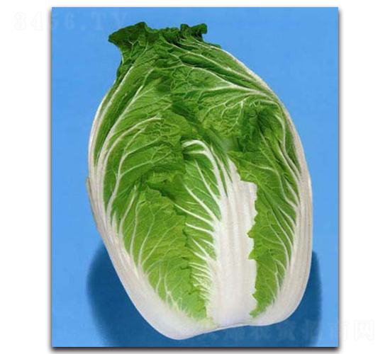 ���\-��ײ˷N��-�r(n��ng)����