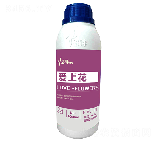 ���ϻ�-�����S