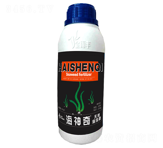 ������-�����S