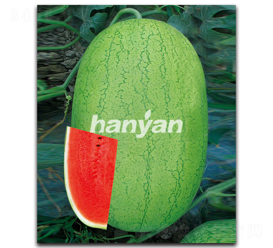 �h��һ̖-���ϷN��-�h��