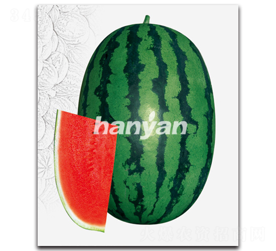 �h����̖-���ϷN��-�h��