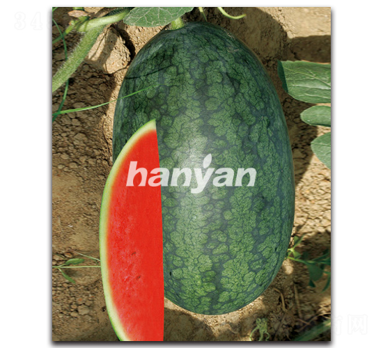 �h��-���ϷN��-�h��