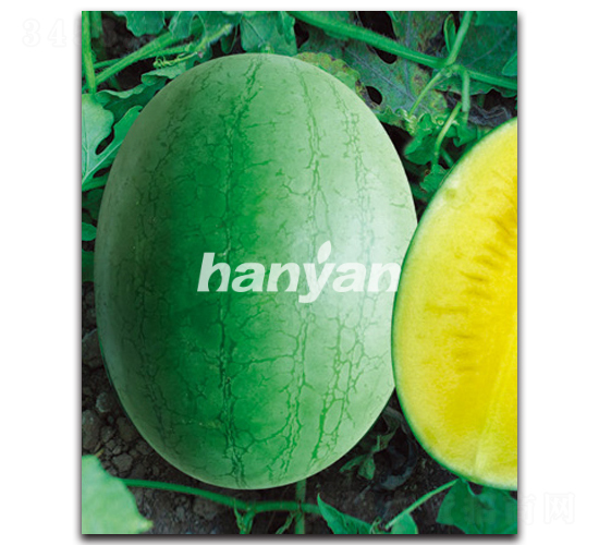 �h��һ̖-���ϷN��-�h��