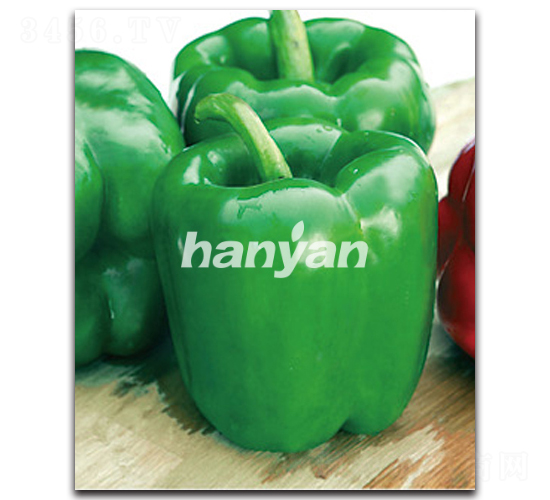 �h��һ̖-�𽷷N��-�h��