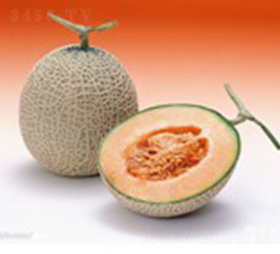 ������-��ϷN��-���N