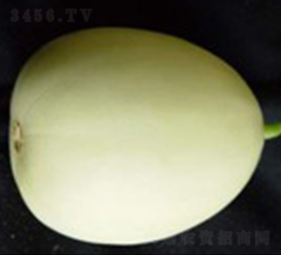 ����-��ϷN��-���N