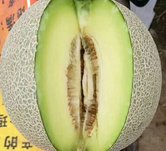 �ۋI-��ϷN��-���N