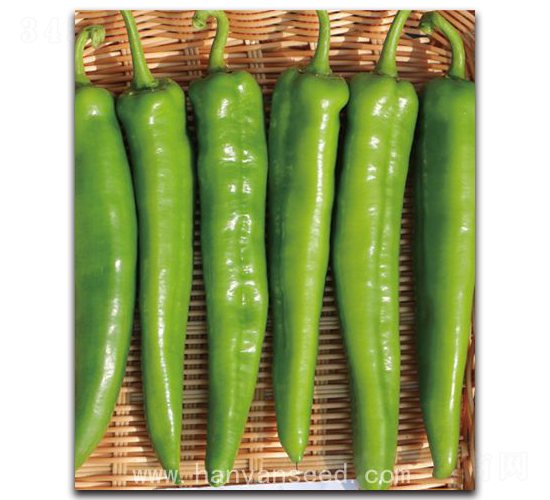 �h�Jһ̖(h��o)-�����N��-�h��