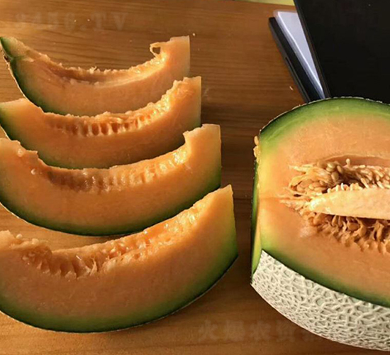 ���J-��ϷN��-���N