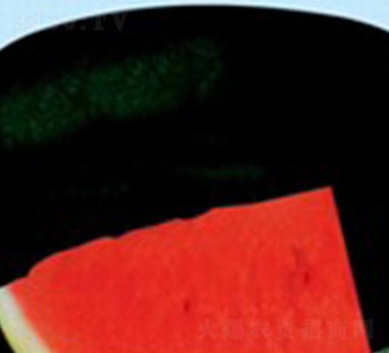 ������-���ϷN��-���N