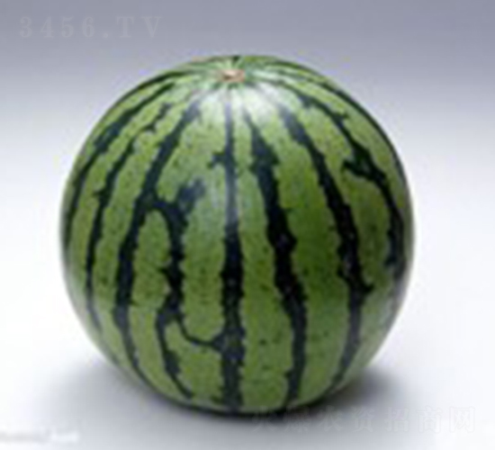 �黨-���ϷN��-���N