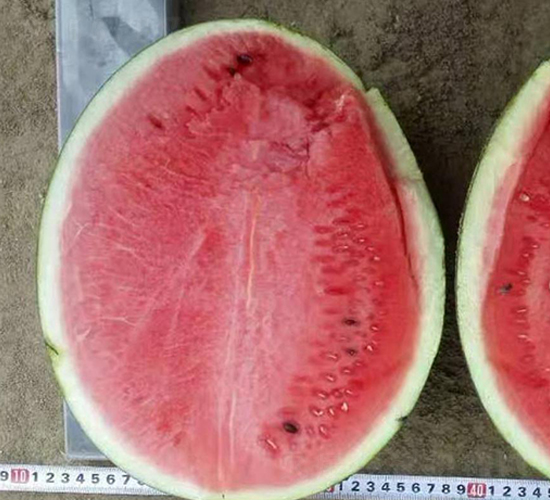 ���v-���ϷN��-���N