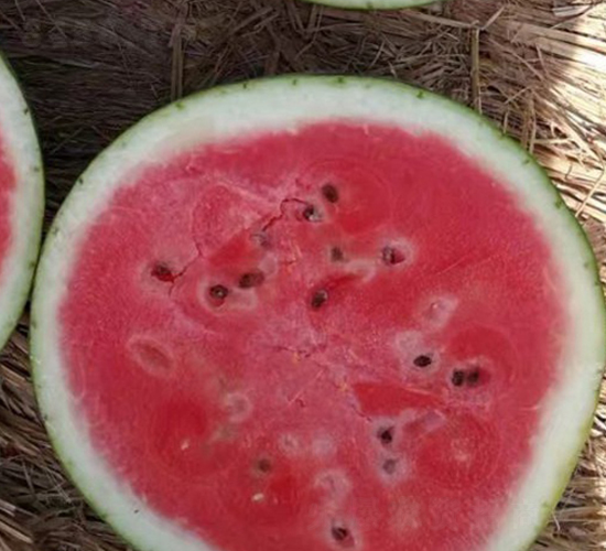 �nؐ-���ϷN��-���N