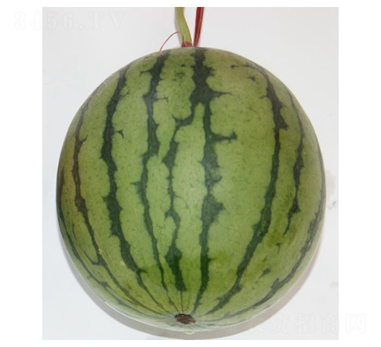 ���m-���ϷN��-���N