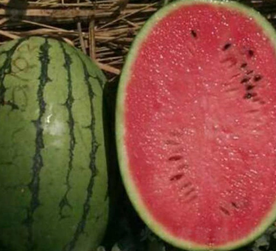 ϲ�m-���ϷN��-���N