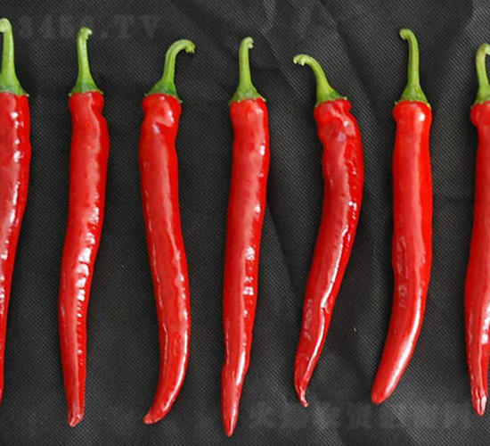 ����-�����N��-���N