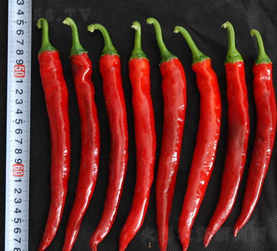 ��Խ����-�����N��-���N