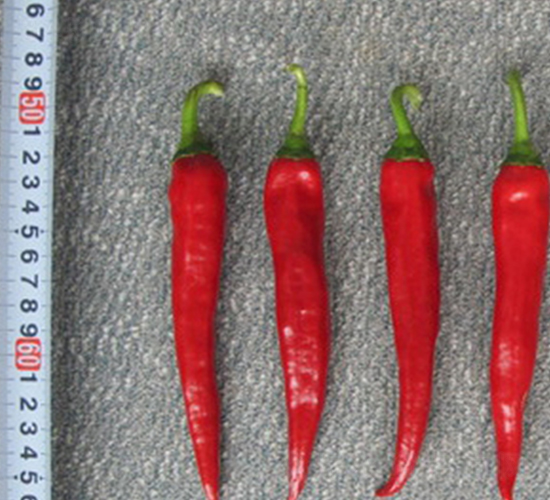 ���r(n��ng)-�����N��-���N