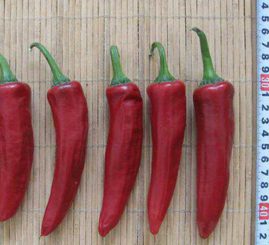 �t����-�����N��-���N