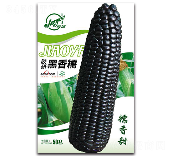 �z�к���Ŵ-Ŵ���׷N��-�z��