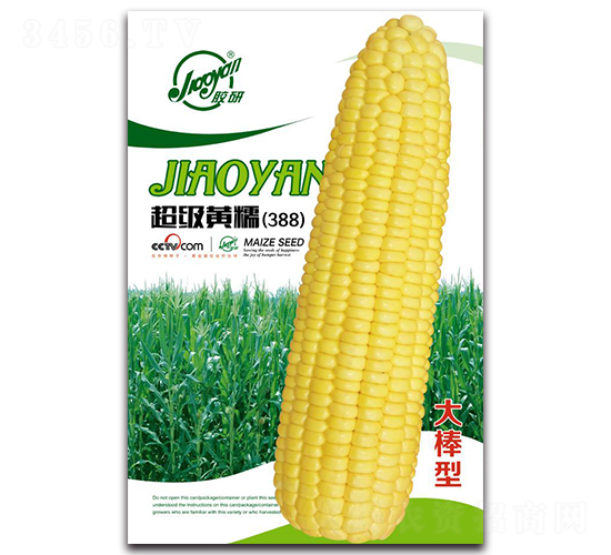 �����SŴ��388��-Ŵ���׷N��-�z��