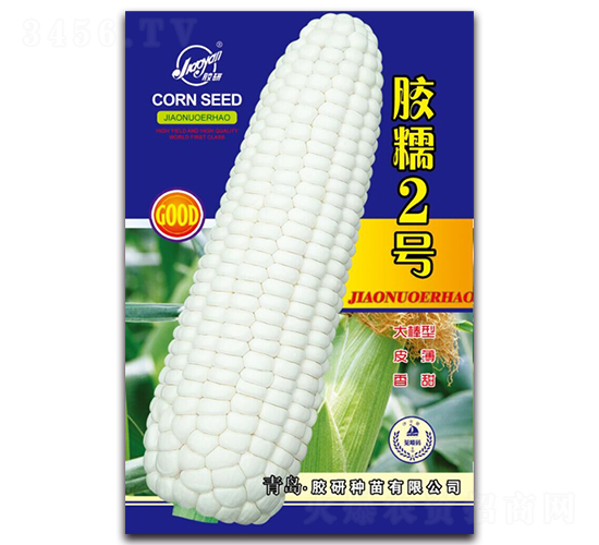 �zŴ2̖(h��o)-Ŵ���׷N��-�z��