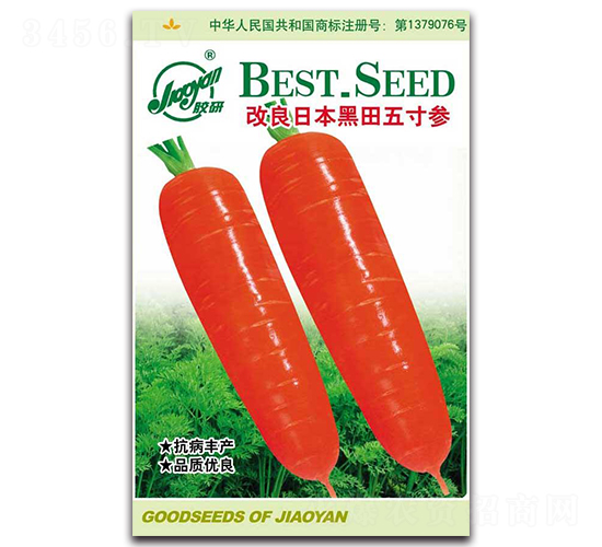 �����ձ�������煢-�}���N��-�z��