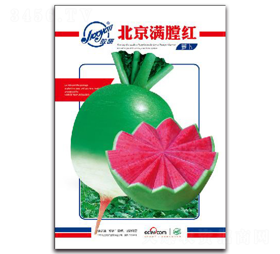 �����M�żt-�}���N��-�z��