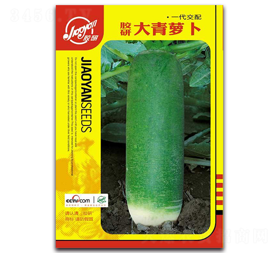 �z�д����}��-�}���N��-�z��