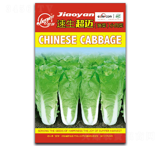 �������~����ˣ�-С�ײ˷N��-�z��